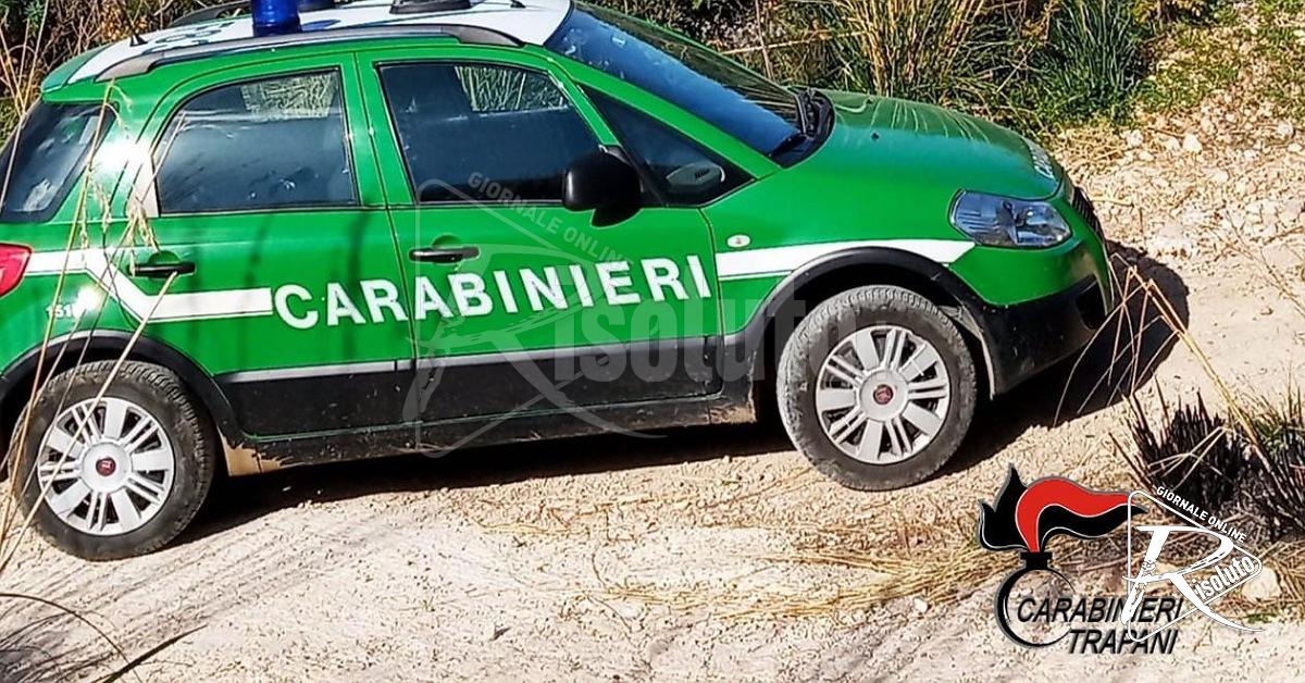 Caccia al cinghiale in periodo vietato, tre denunce