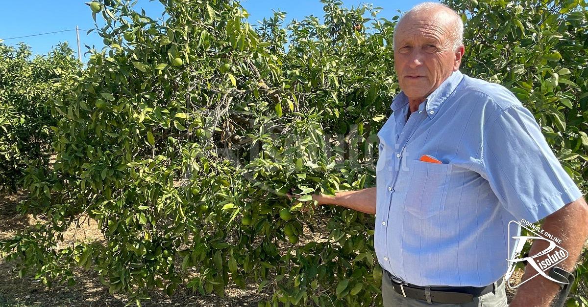Ribera, gli agricoltori: “Dalla preghiera all’azione umana, ora servono interventi concreti”