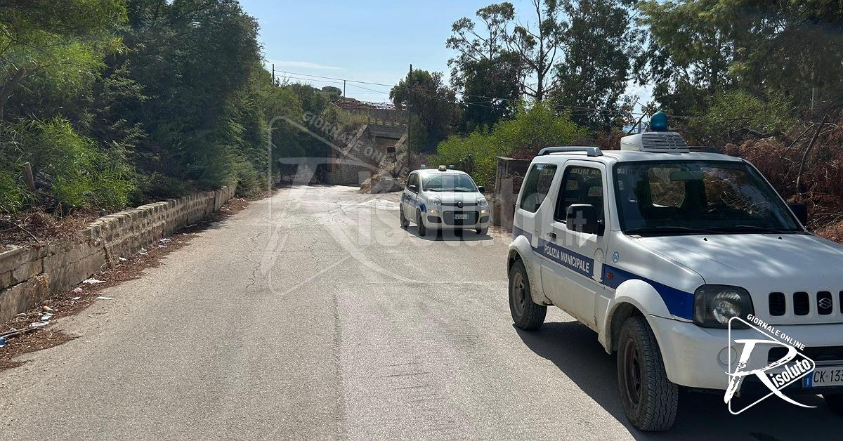 Due cani uccisi a Sciacca e rinvenuti a Muciare in una pozza di sangue