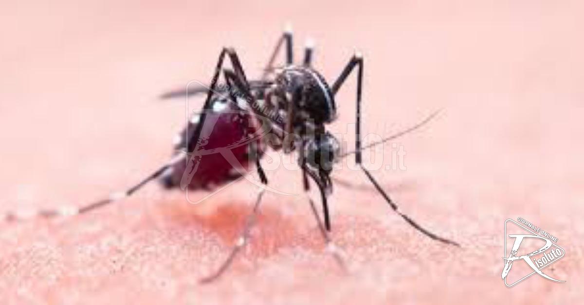 West Nile Virus, interventi di disinfestazione straordinari a Sciacca