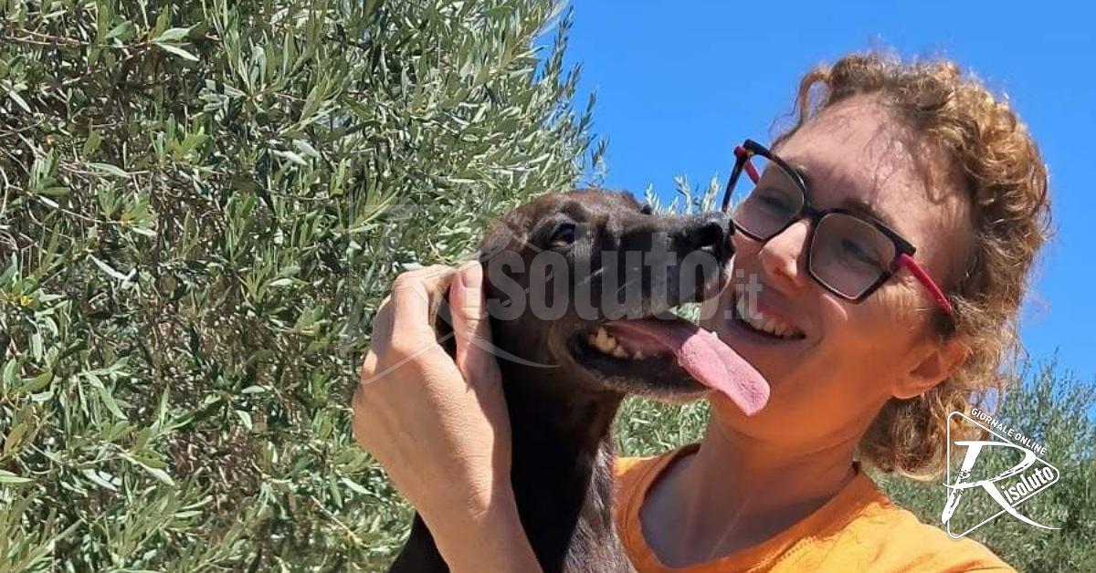 Sciacca, i cagnolini sequestrati in agosto: oggi stanno bene e sono in salvo