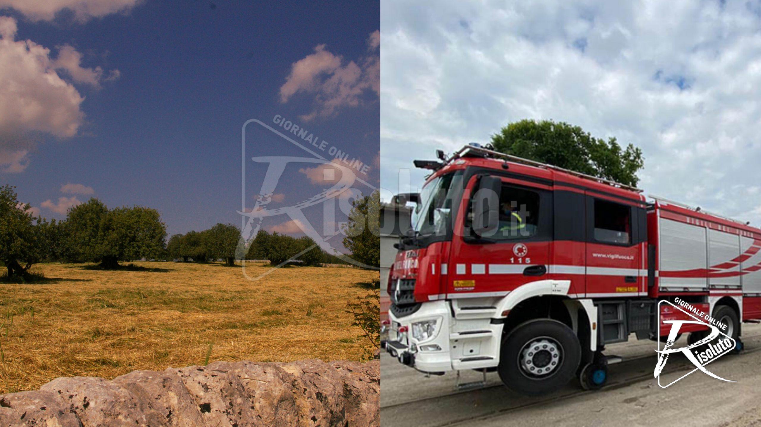 Dopo 12 giorni trovato vivo un pastore romeno nelle campagne di Sambuca