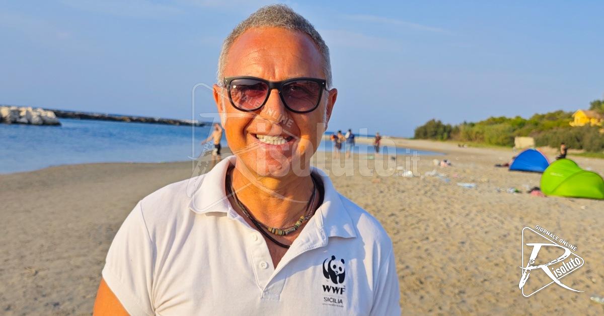 Schiusa di uova di Caretta caretta nella notte sulla spiaggia di Sovareto (Video)