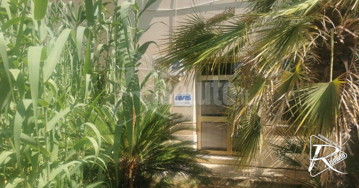 Pericolo davanti la sede Avis di Sciacca, protesta Allegro