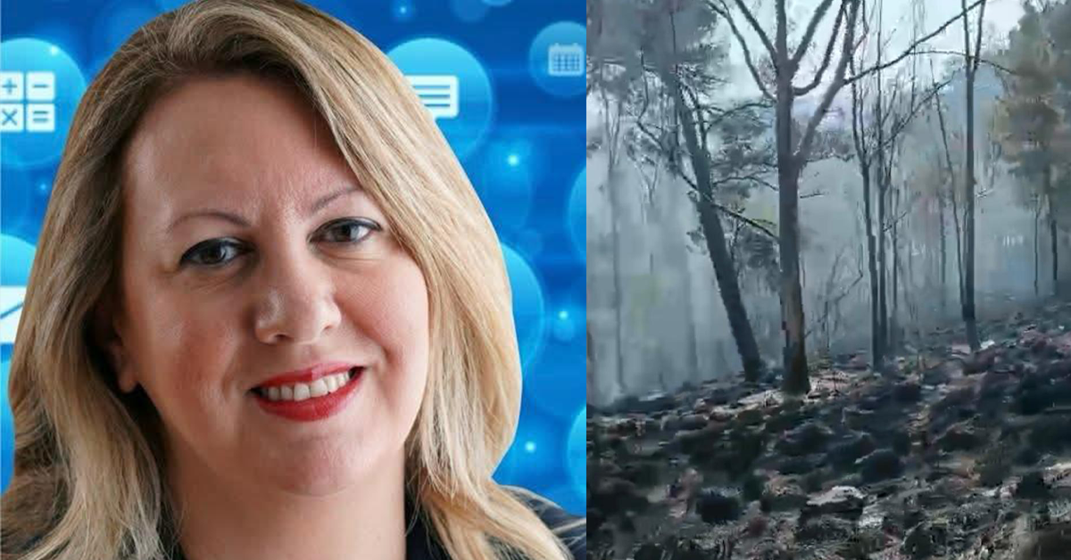 Incendio a Monte Sara, Savarino: «Intervento tempestivo ha scongiurato il peggio» (Video)