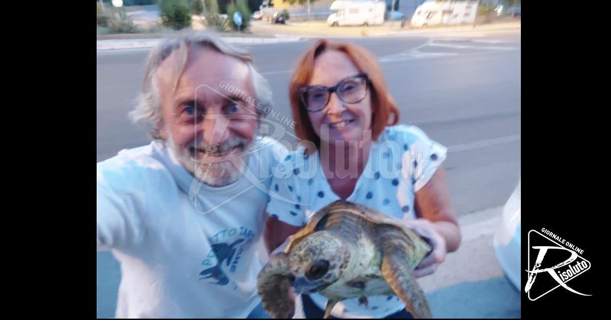 Da Catania a Cattolica Eraclea per salvare una tartaruga ferita