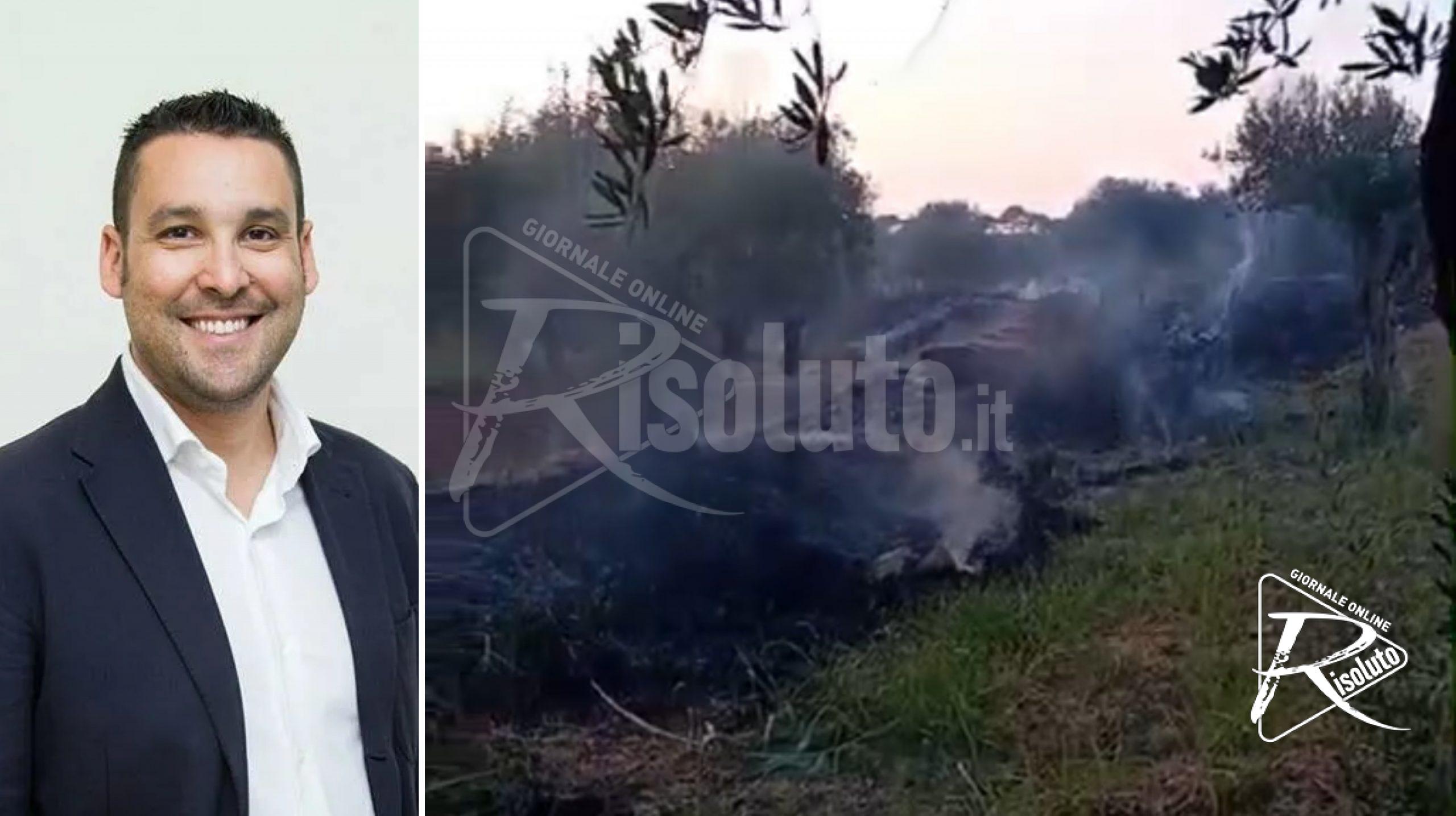Atti incendiari contro uliveti, la condanna della Flai Cgil e la richiesta di maggiori controlli