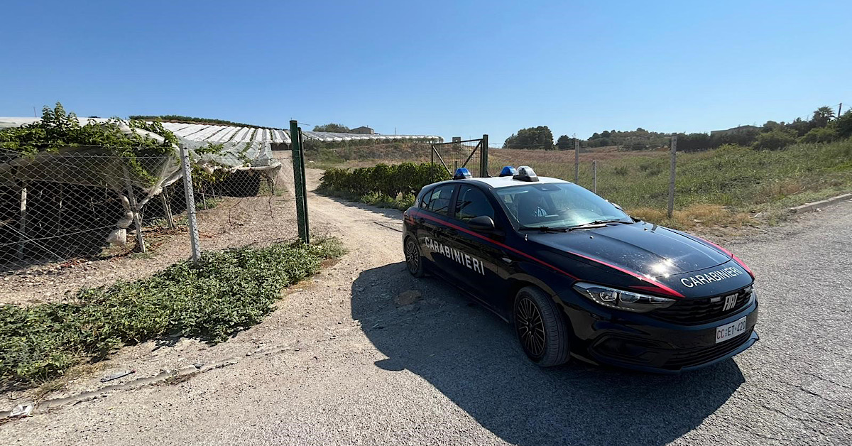 Stretta contro il caporalato, azienda agricola sospesa e titolari denunciati