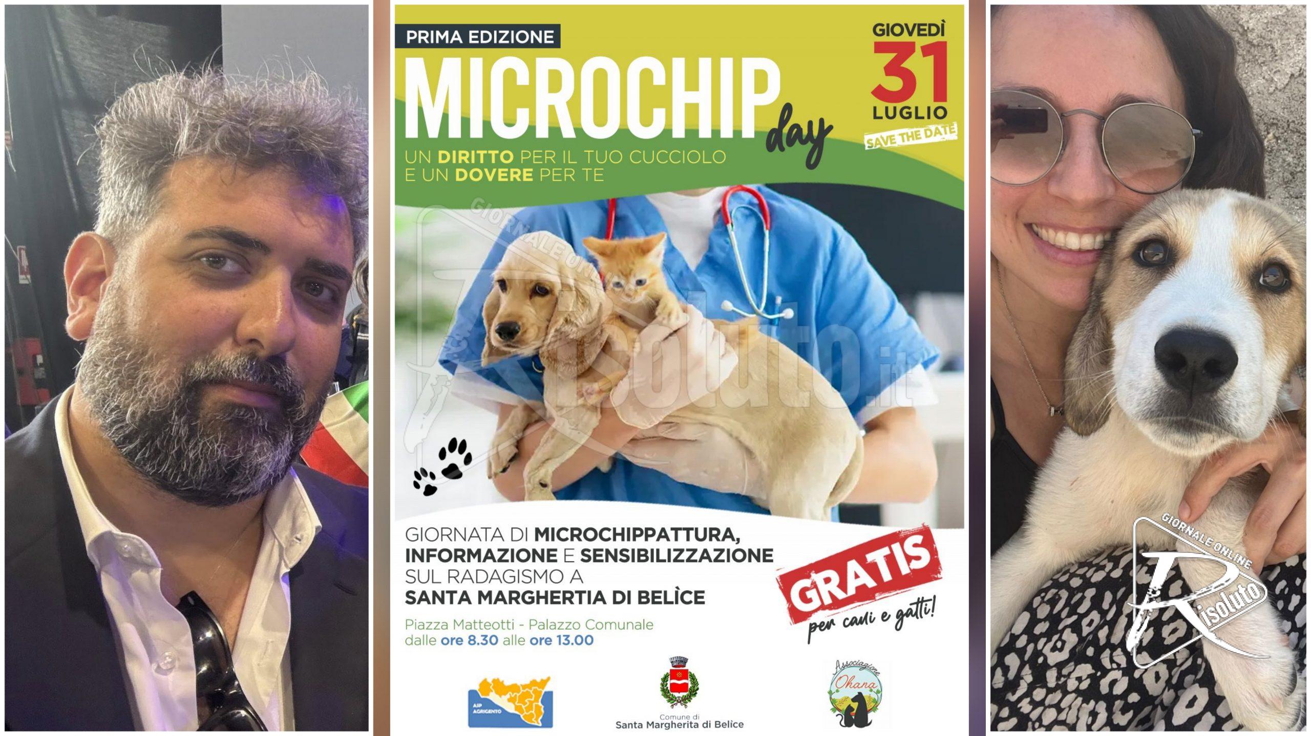 Adozioni cani in Sicilia, microchippatura gratuita e sensibilizzazione a Santa Margherita Belìce
