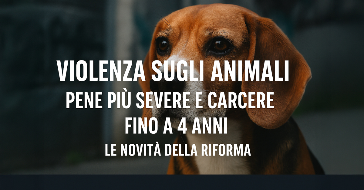 Violenza sugli animali: pene più severe e carcere fino a 4 anni. Le novità della riforma