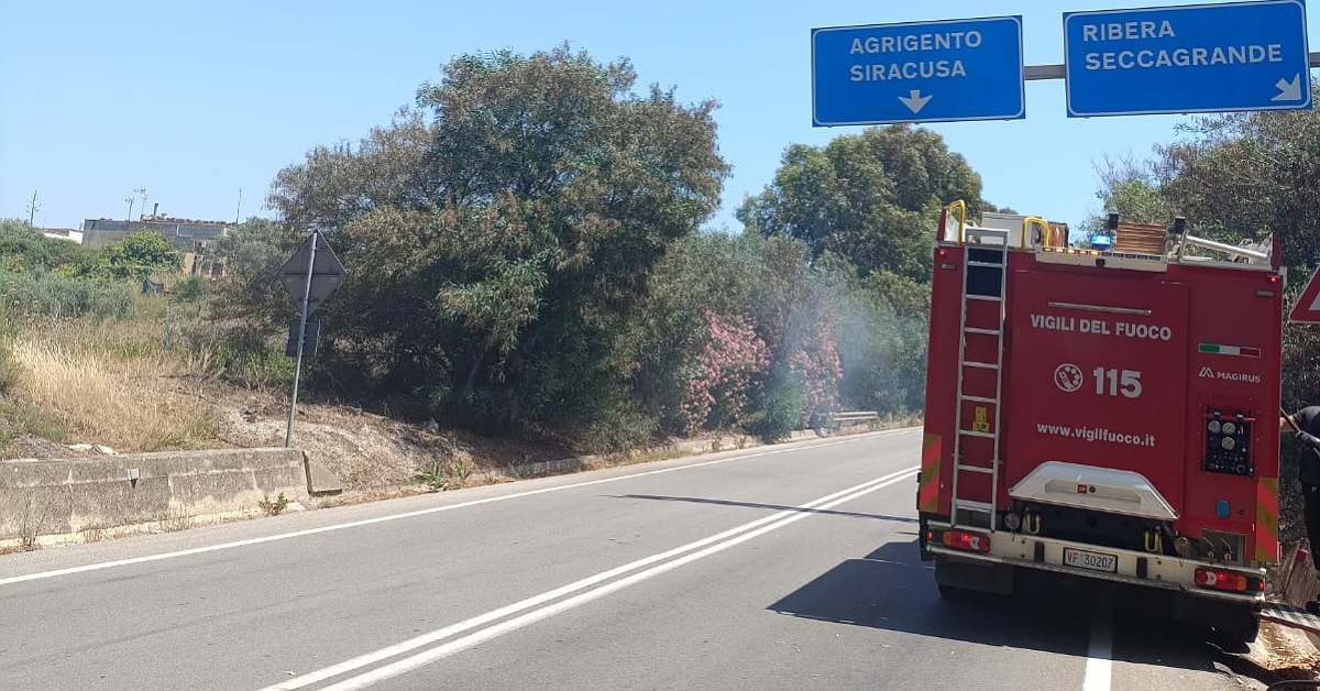 Incendio sulla statale 115 all’altezza di Seccagrande, vigili del fuoco in azione