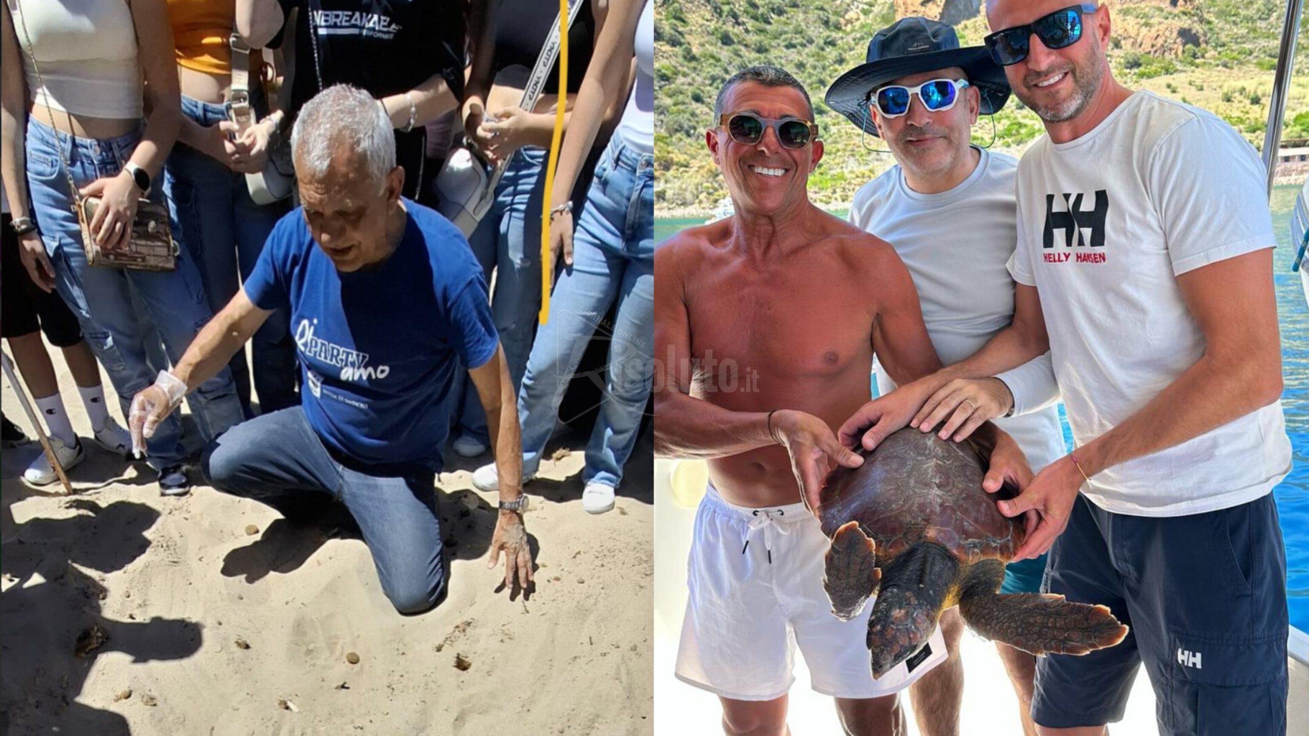 Tre saccensi salvano alle Eolie una Caretta caretta, studenti dell'Inveges in spiaggia sulle tracce delle tartarughe