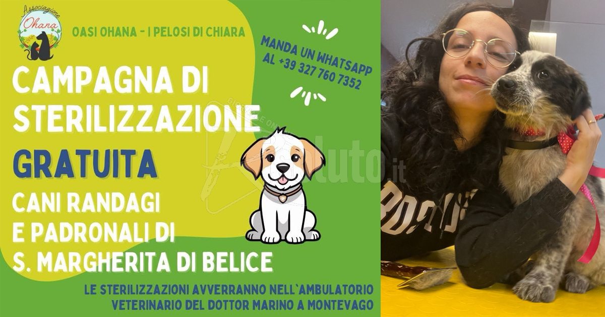 sterilizzazione-gratuita-santa-margherita-belice
