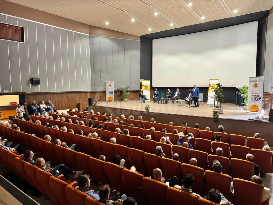 Incontro di Sud Chiama Nord a Ribera, nuove proposte sull'emergenza idrica