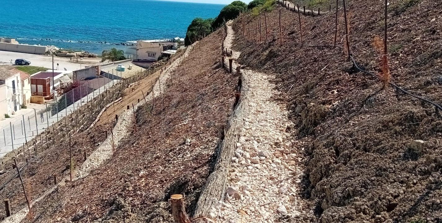 A Menfi raccolta fondi garantisce la cura del verde nella borgata di Porto Palo