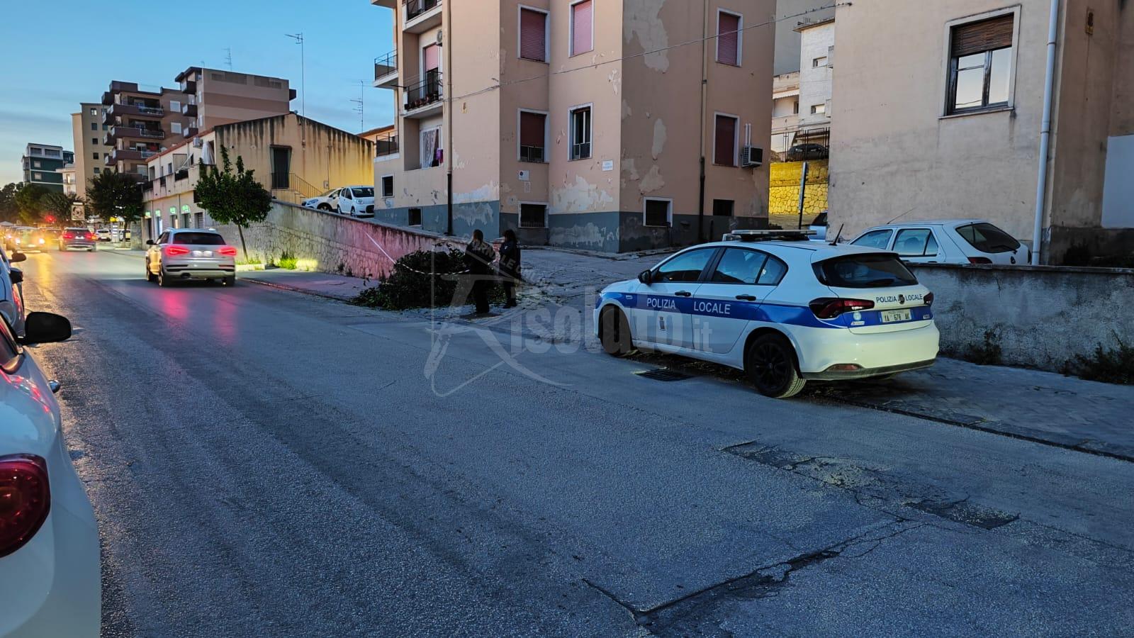 Albero che minacciava di cadere a Sciacca, vigili del fuoco in via Cappuccini