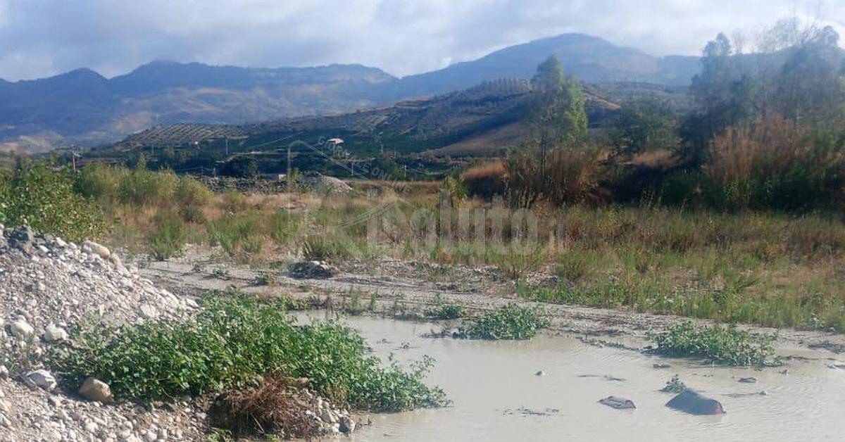 Emergenza idrica Sicilia, proroga urgente per salvare l'agricoltura