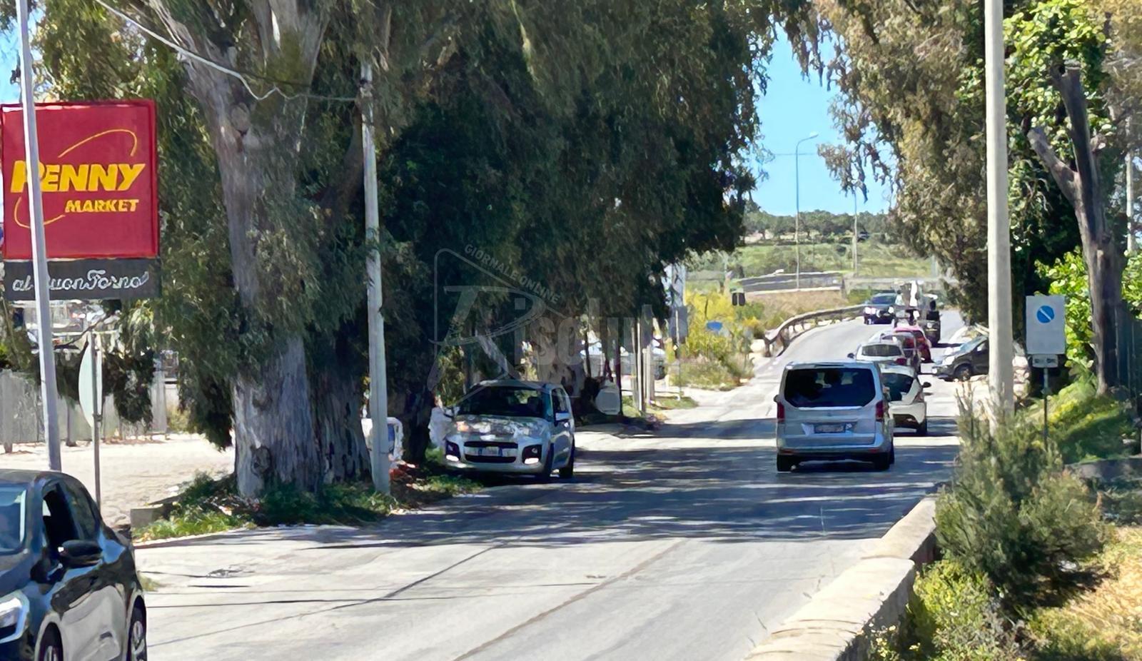 Tagliati i rami riapre via Pompei, ma l'episodio riporta i controlli in primo piano