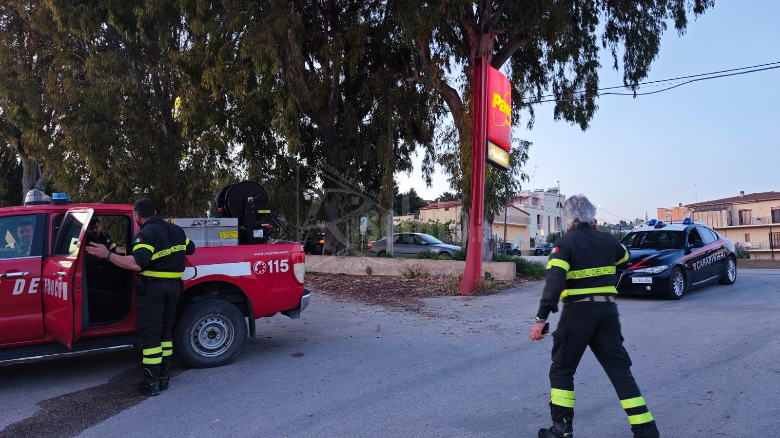 Rami pericolanti in via Pompei a Sciacca, intervengono i vigili del fuoco