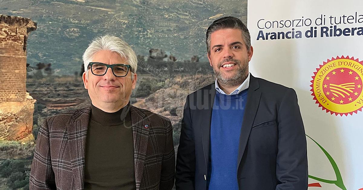 Ribera punta sulla sostenibilità, raccolta differenziata al 79% nei primi tre mesi del 2025