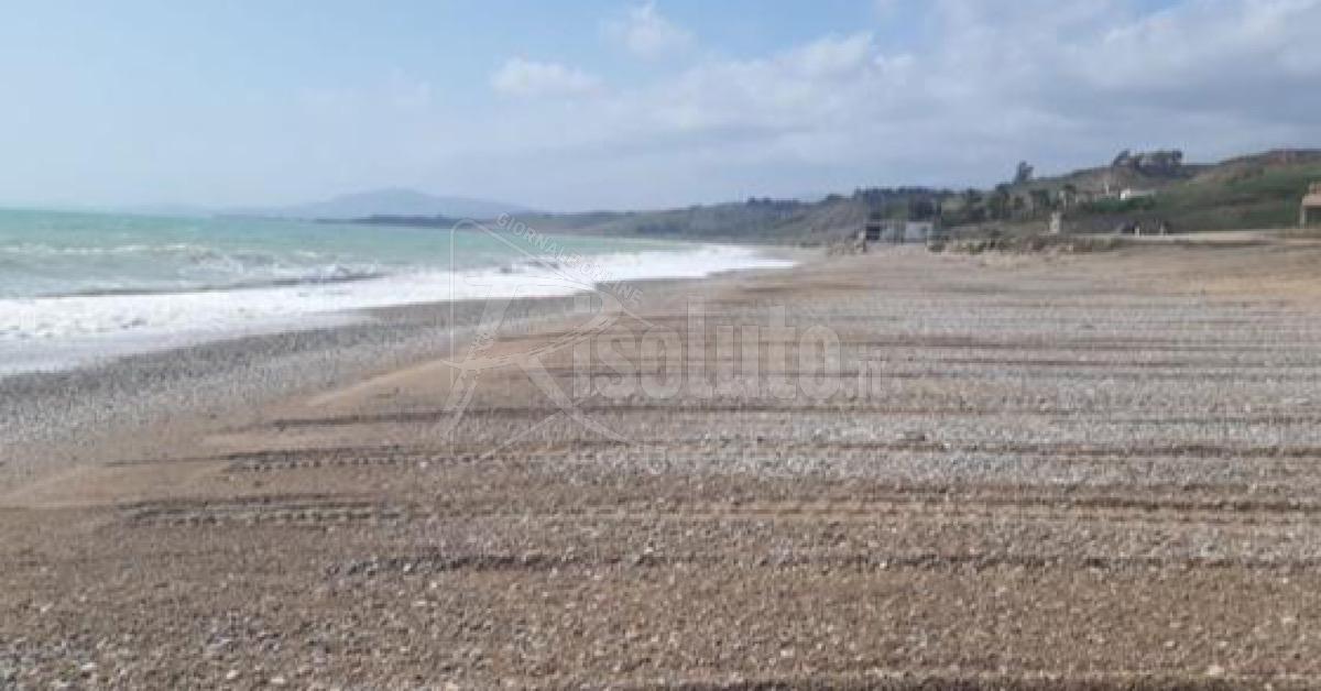 Vietati i cani in spiaggia, l'Associazione Turistica: "Andrebbe consentito"
