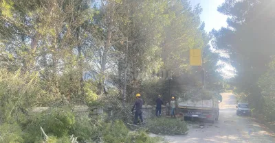Disposta dal Comune la potatura e cura del verde attorno alla basilica di San Calogero al Monte