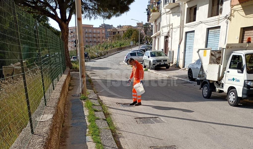 Disinfestazione e derattizzazione, al via i primi interventi a Sciacca
