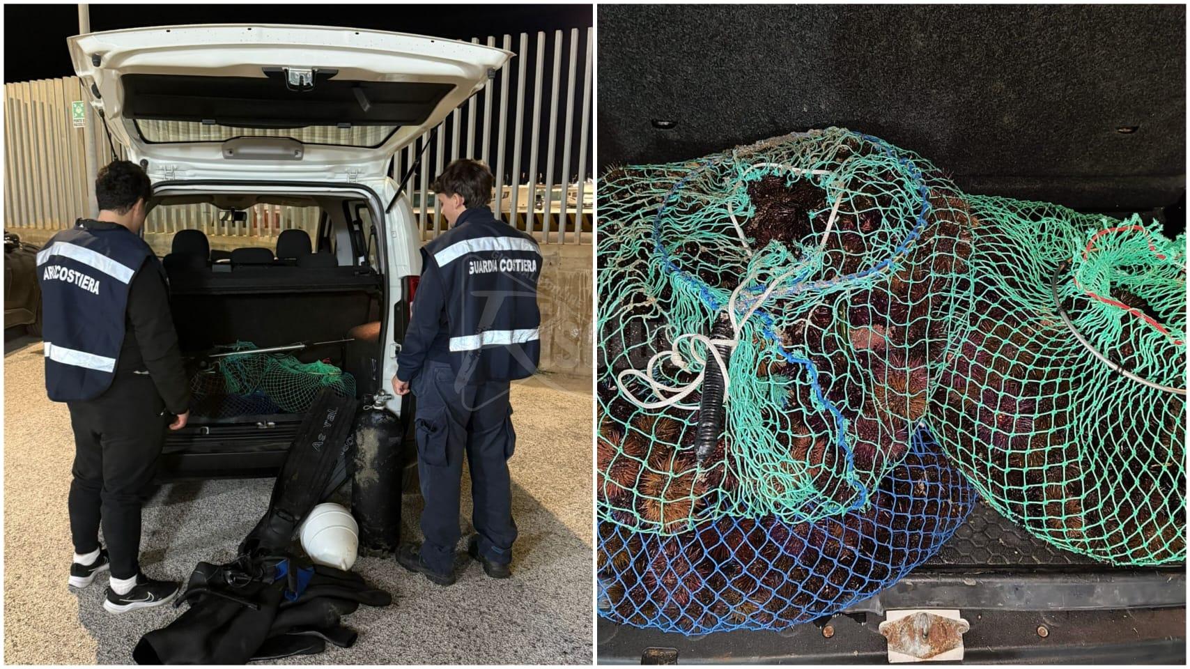 Pesca illegale di ricci a Sciacca, 800 esemplari sequestrati dal Circomare