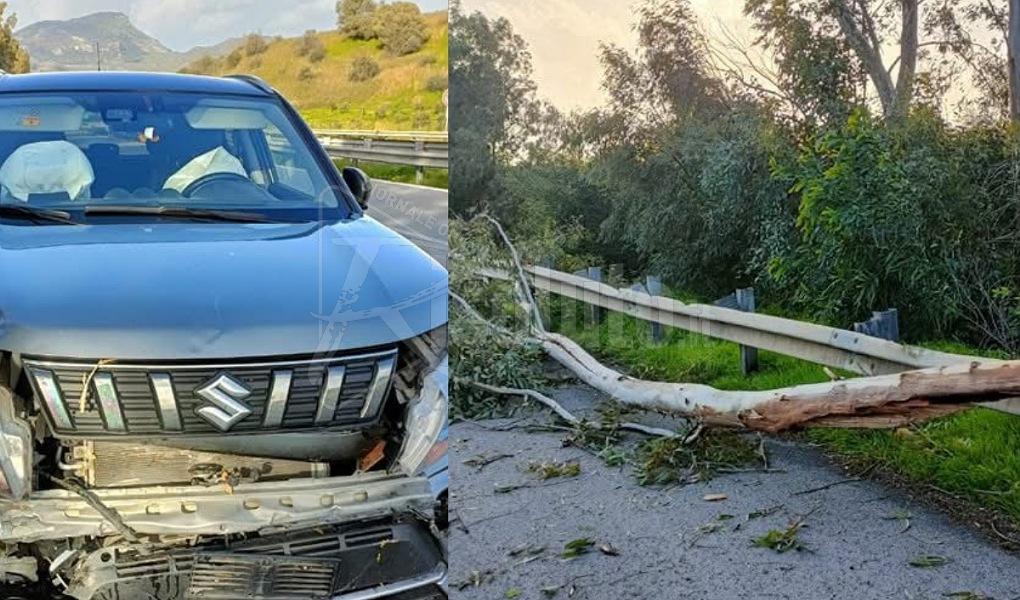 Raffiche di vento e albero si abbatte su auto di sambucesi sull'A29
