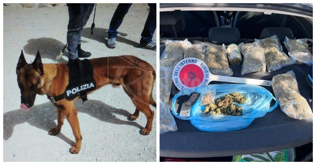 Polizia, due operazioni nell'Agrigentino con  sequestro di 3 chili e mezzo di droga