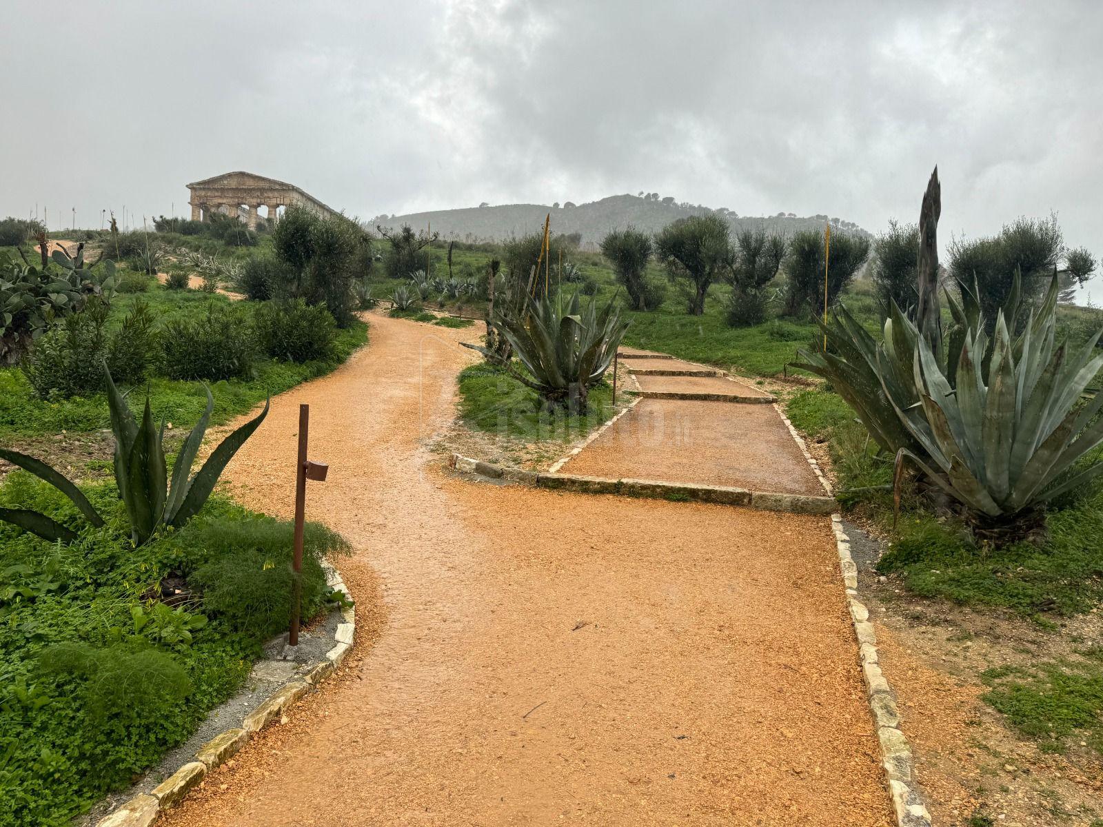 Segesta, 400 mila euro per l’accessibilità al Parco archeologico. Scarpinato: "Primi risultati concreti degli investimenti del Pnrr"