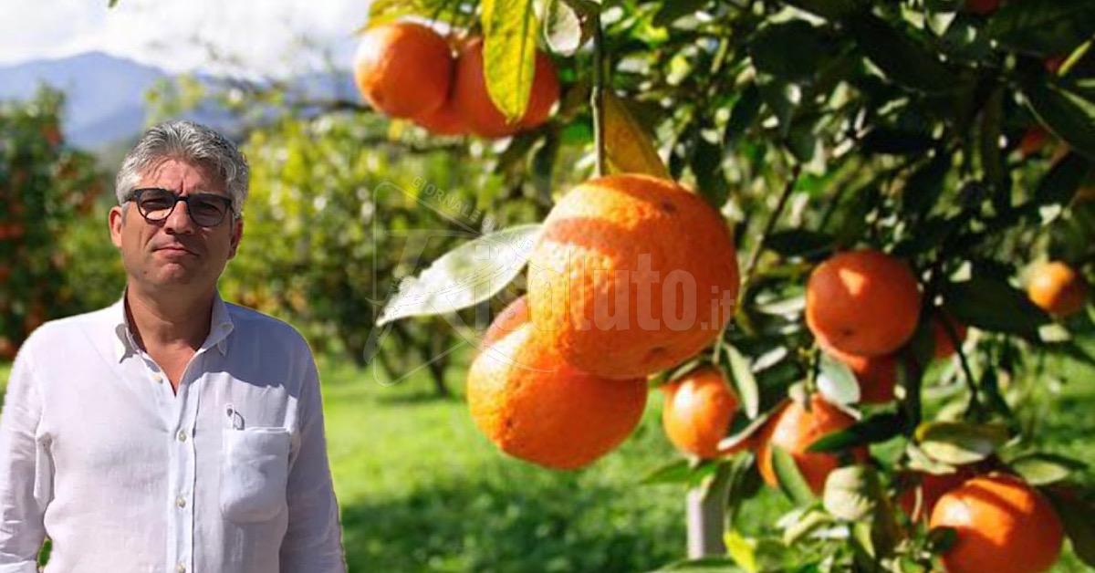 Il Giubileo per far conoscere l’Arancia di Ribera Dop