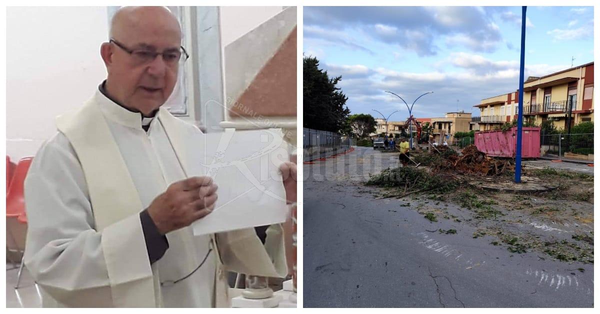 Via i ficus a Ribera, padre Nuara: "Giusto, meglio alberi di arancio selvatico"