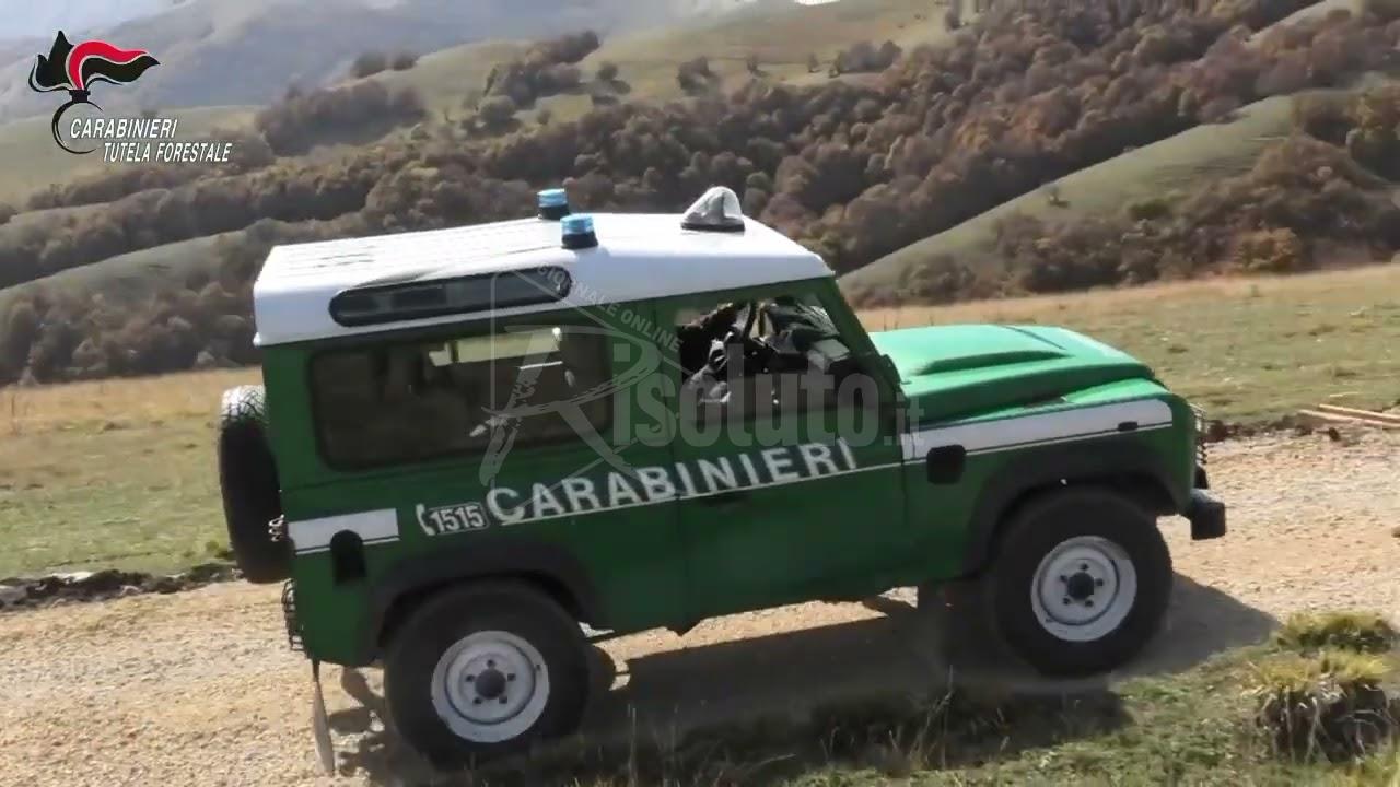 Traffico illecito di rifiuti tra Alcamo e Palermo, 16 indagati (Video)