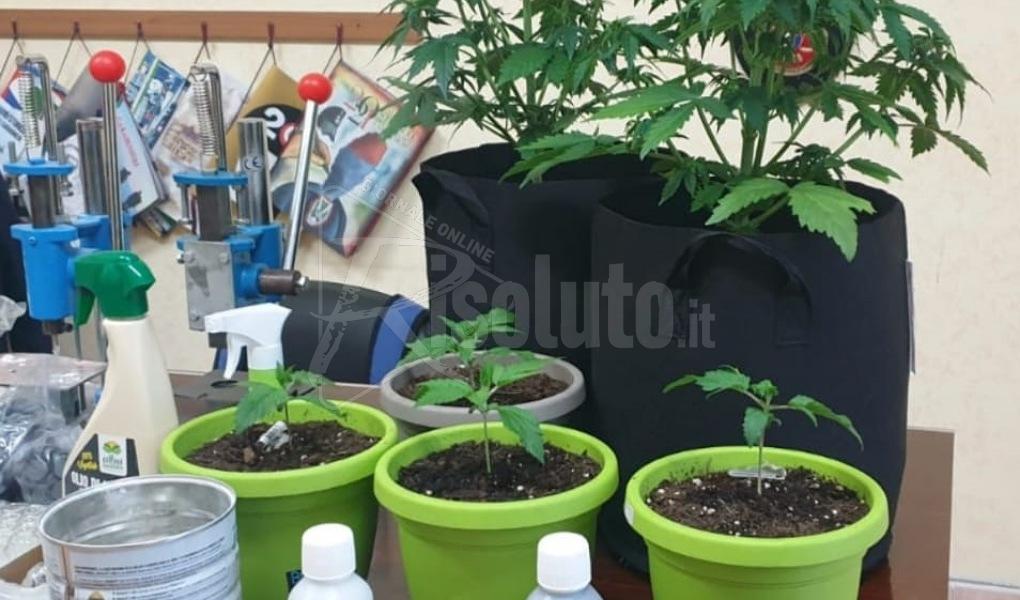 Santa Margherita di Belice, arresto dei carabinieri per stupefacenti