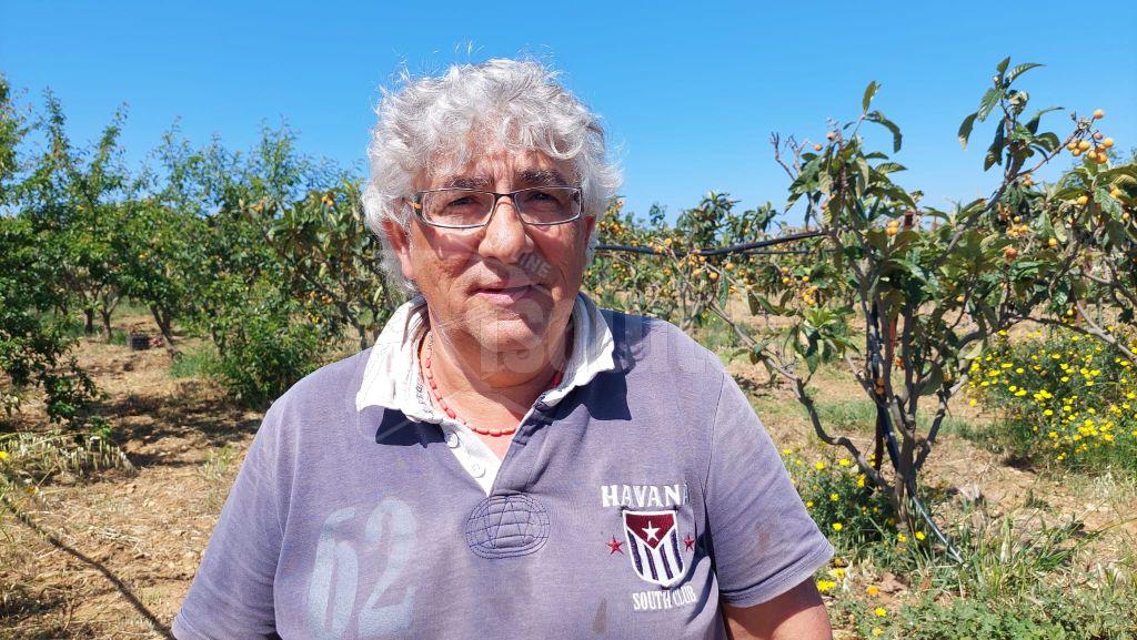 Furti nella contrada Piana di Sciacca, Ciaccio: “Maggiori controlli”