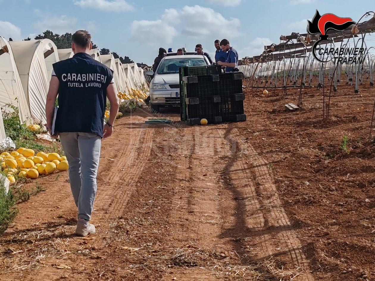Trapani, 21 lavoratori "a nero" e 9 denunce tra ristoranti e aziende agricole della provincia