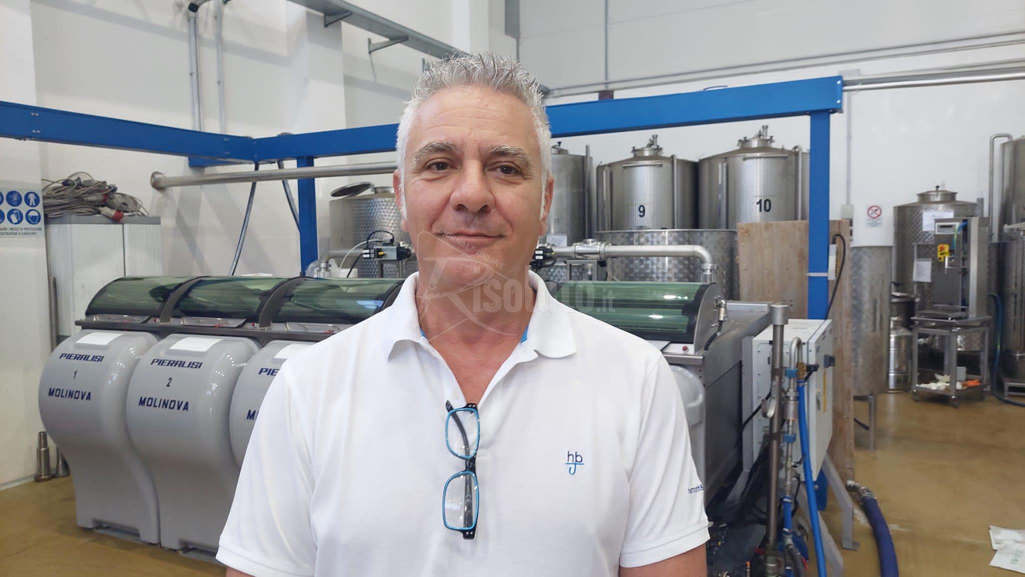 Al via la campagna olivicola, Mandracchia: "L'olio costerà alle famiglie da 9 a 10 euro al litro" (Video)