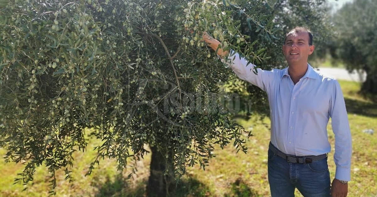 Lucca Sicula, al via i preparativi per la venticinquesima edizione della Festa dell'Olio