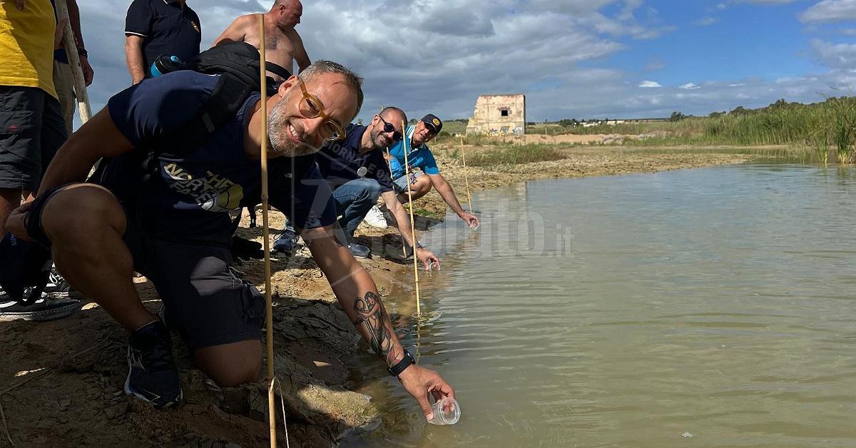 Collaborazione tra Wwf e Rotary per la Salvaguardia Ambientale nel Belice
