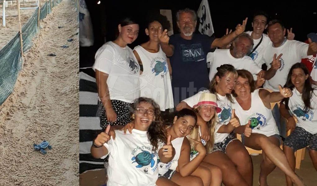 Centinaia di Caretta caretta nate nelle coste Agrigentine