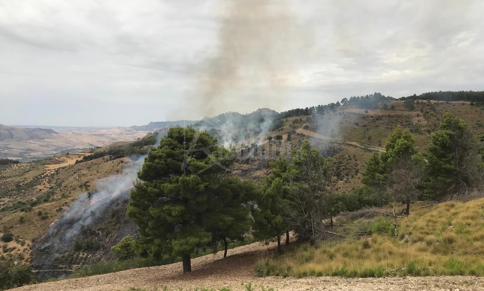 Incendio nelle campagne di Burgio, in azione anche elicotteri del Corpo forestale