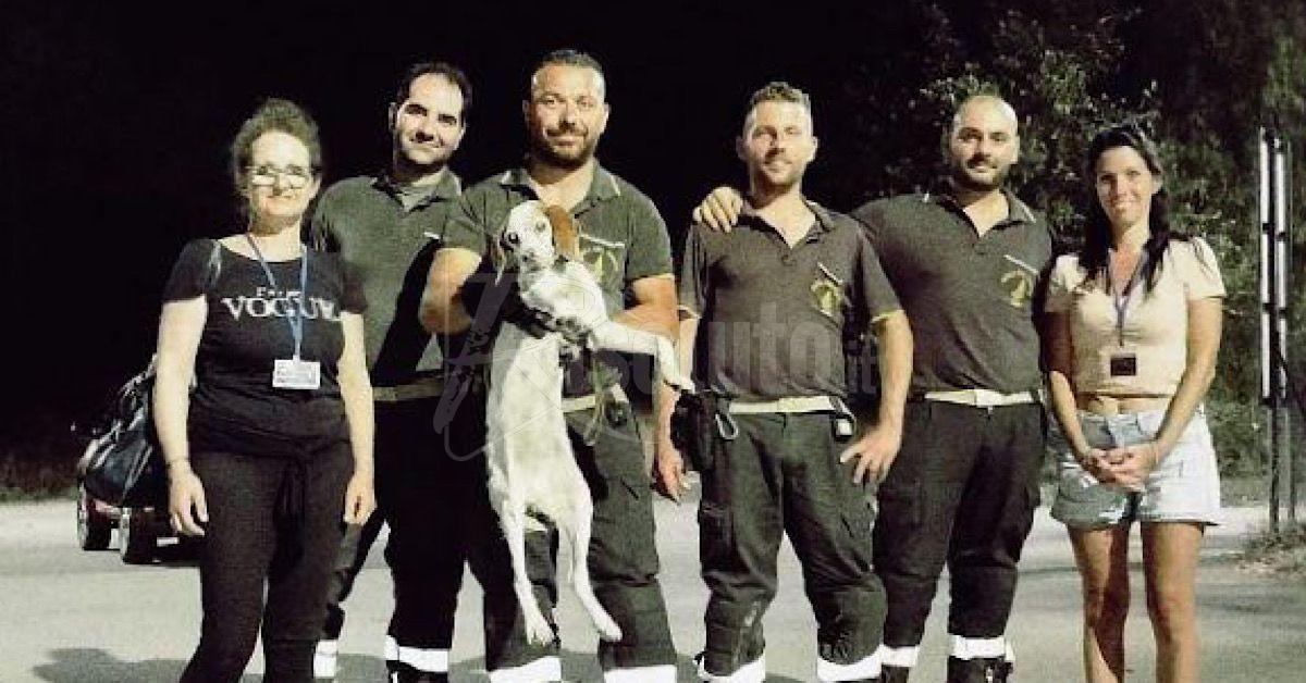 Cane intrappolato nella diga Castello, lo salvano le guardie zoofile