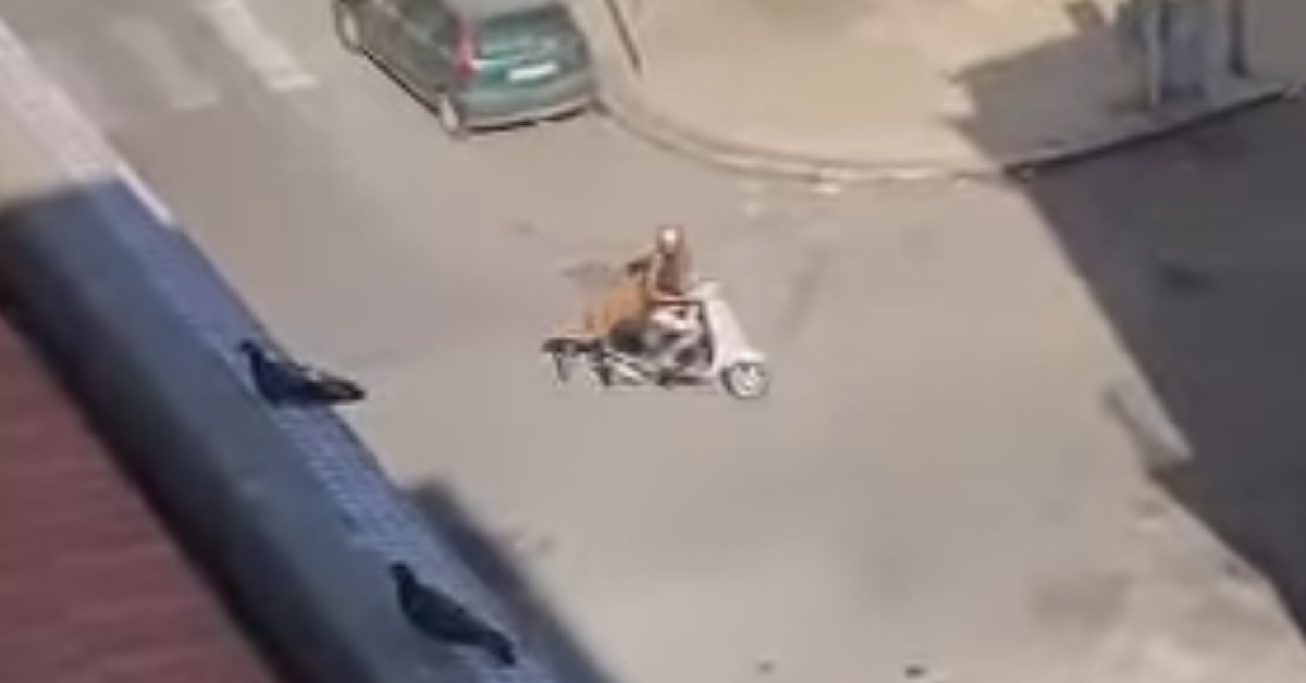 Palermo, ruba una panchina da un giardino pubblico e la porta via con lo scooter 
