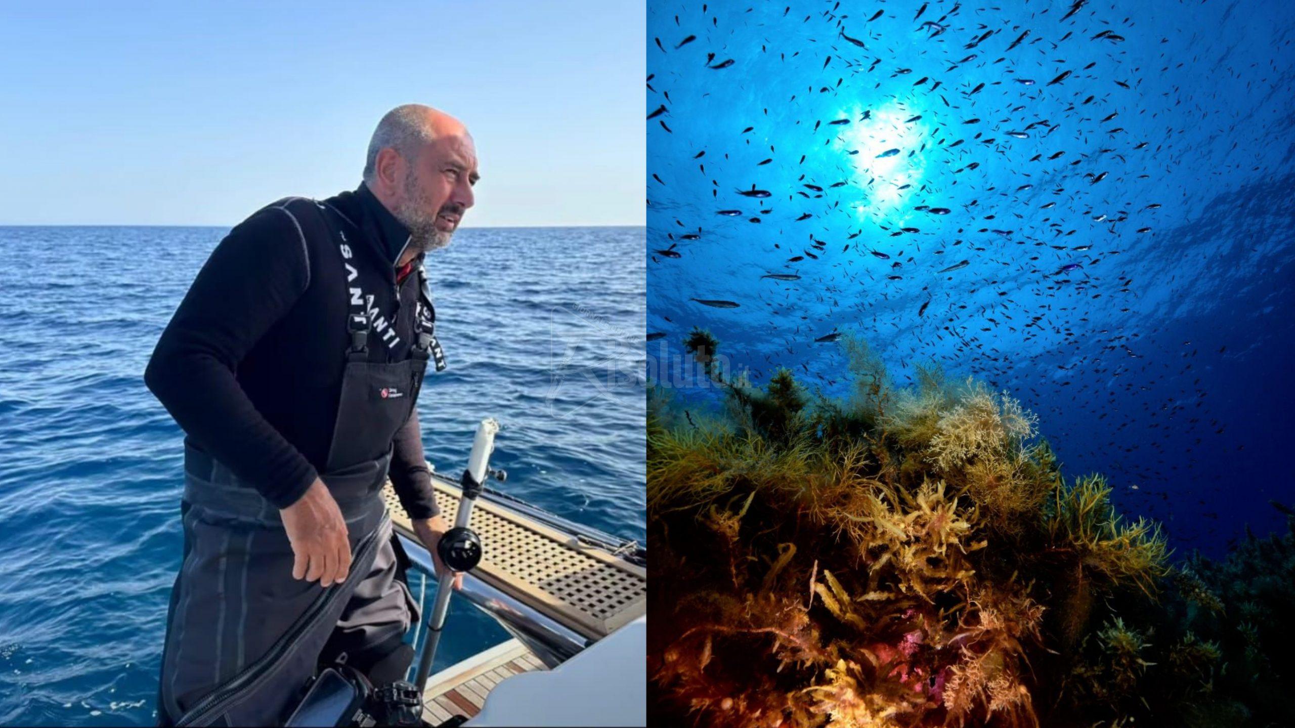 Alla Scoperta dell'Isola Ferdinandea con Marevivo, un viaggio subacqueo unico