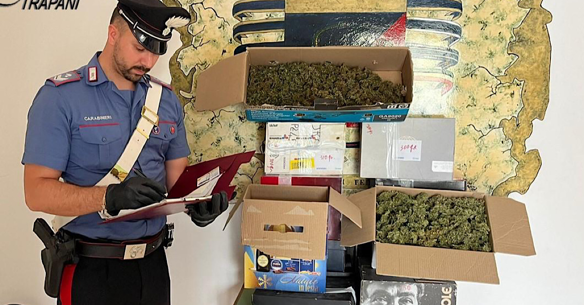 Piantagione di droga in una serra, arrestato un marsalese di 50 anni