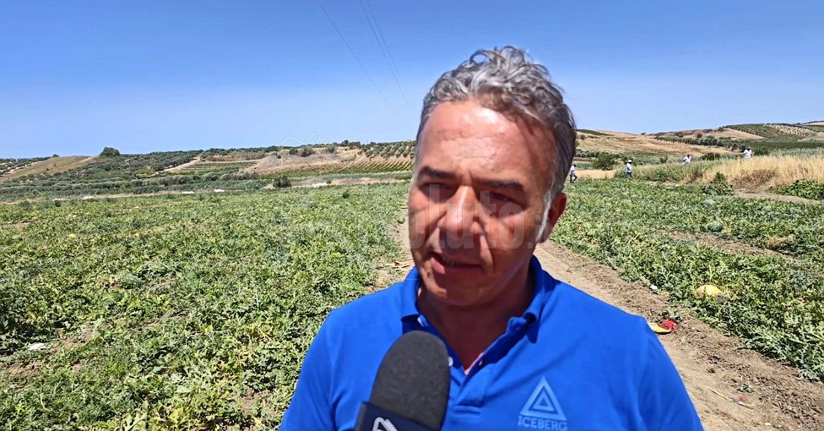 Terzo anno di produzione per "L' Anguriotta", marchio di successo di Sciacca (Video)