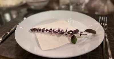 Un aperitivo sensoriale tra piante aromatiche: un'esperienza da non perdere