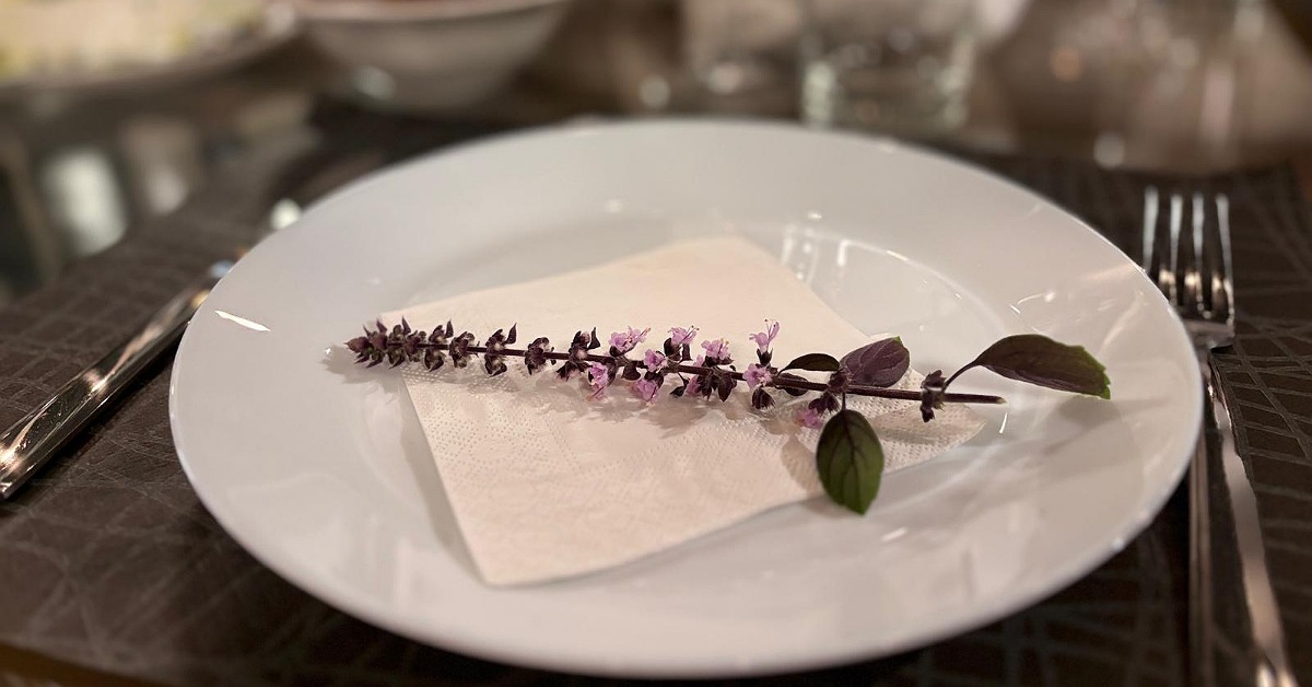 Un aperitivo sensoriale tra piante aromatiche: un'esperienza da non perdere