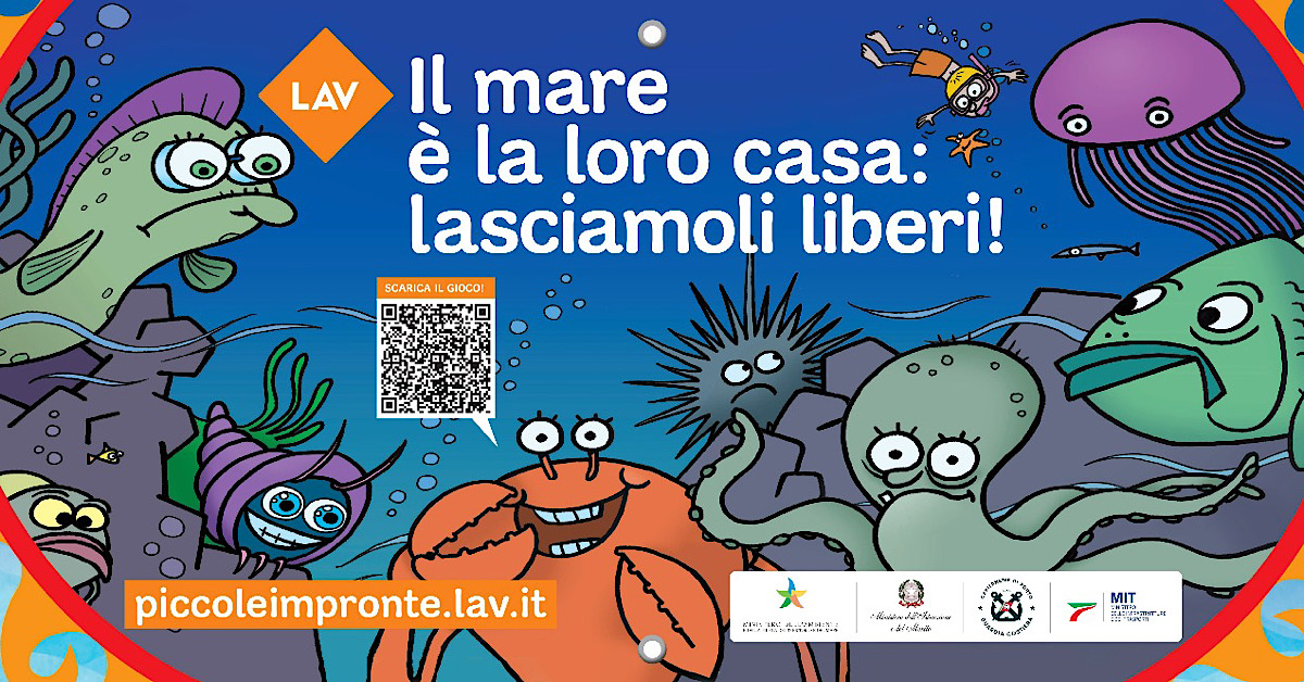 “Il mare è la loro casa”, Lav a Sciacca a tutela di granchi e meduse 